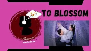 'Blossom (2024)' – Trailer & Episode 1 Reaction!