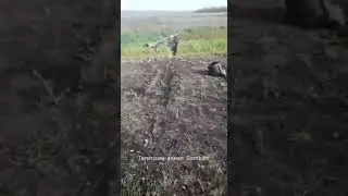 Подбитый украинский танк Т-72М1 польского производства #shorts #украина