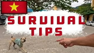 US Marine Shares Street Survival Tips of Vietnam! 🇻🇳