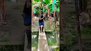 El 