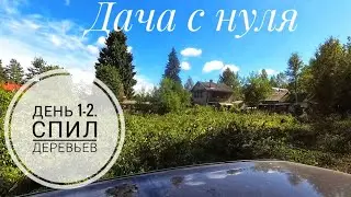 Дача с нуля. День 1-2. Спил деревьев