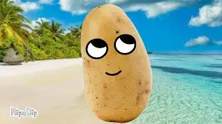 pou es una papa