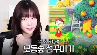 지컨 생방송! 모동숲 섬꾸미기 같이 해요~ 눈으로 보는 asmr 🌲🌳