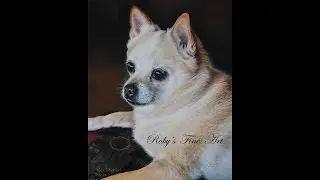 Chihuahua Pastel Demo