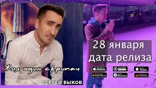 скрипач снипет