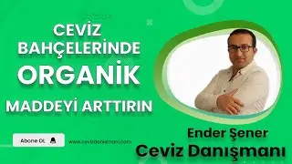 CEVİZ BAHÇELERİNDE ORGANİK MADDEYİ ARTTIRIN.