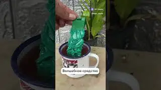 волшебное средство