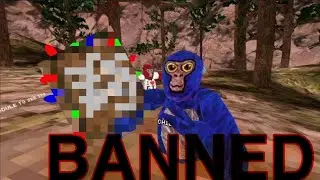 Getting BANNED In Gorilla Tag!