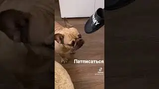не забыть патписаться 😉