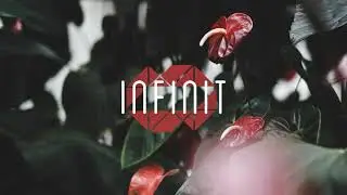 chromonicci. - Simply Put.