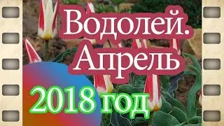 Водолей. Апрель 2018 год.