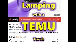 Lamping with a £2 Temu UV Torch