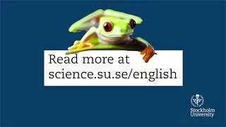 Apply for a science PhD at Stockholm University