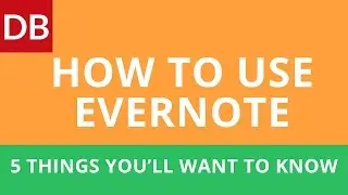 How to Use Evernote Effectively: Top 5 Things You'll Want to Know