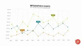 Infographics Charts Motion Graphics