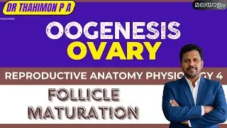 Oogenesis Malayalam follicular development and maturation malayalam Ovary malayalam