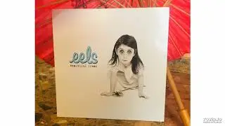 Eels - Novocaine for the soul (Acoustic Version)