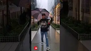 DAY-13: THE VESSEL IN NEWYORK!🔥🔥 #minivlog #brooklyn #newyork #usa #mrbhowmik #timessquare