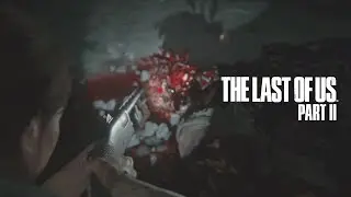 The Last of Us 2 - The Best KILLS Vol.9 - Survivor+ - No Damage - PS5 - Road to Aquarium