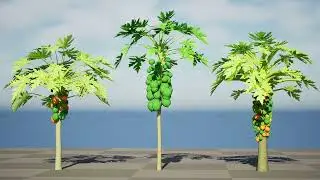 Papaya Tree 3D animation with unreal engine