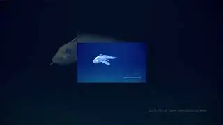 I'm kinda scared of them but weirdly can’t look away 