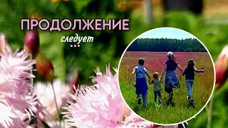 Возвращаемся ...встречаем тепло .