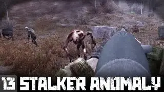 PEEKABOO - STALKER Anomaly - Episode 13