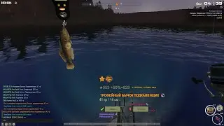 Fisher Online : Печора. Бычок подкаменщик, мировой рекорд.