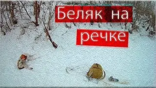 Охота на зайца.Беляк на речке./Hunting the hare. Belyak on the river.