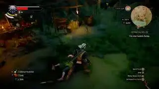 The Witcher 3 - Death March