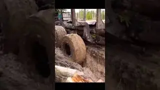 Жижа, грязь и мощные колёса.