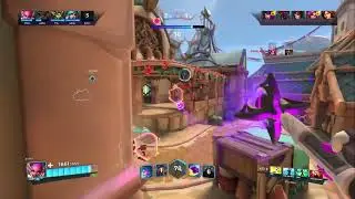 Paladins Willow rang skin