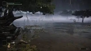 WHY does the souls community think this isn't bad game design???