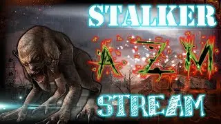 STALKER:Another Zone Mod | Начинаем на мастере. Первые впечатления!