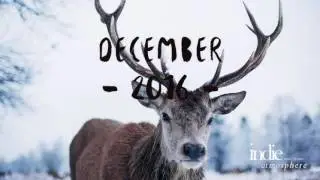 DEER Playlist // Indie/Pop/Folk Compilation // DECEMBER 2016