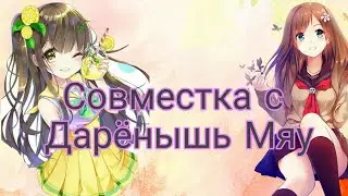 𝑎𝑚𝑣 – ненормальные психи [𝑤𝑖𝑡ℎ Дарёныш Мяу]