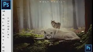 Photoshop Manipulation Tutorial | Wolf Family
