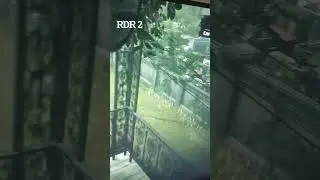 RDR2 синхронированно однако