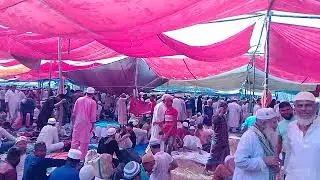 হাজারো মানুষ।