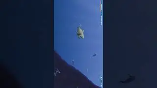 Tasty Planet Forever - PACIFIC BASKING SHARK - Level 5 