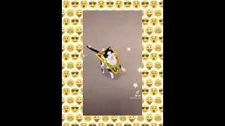 НаОбоРот Кот БУТЕРБРОД ЗАФЛЕКСИЛ 😂