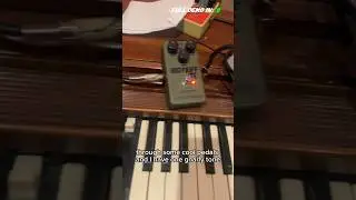Insane Gnarly Tones with the Organ and Guitar Pedals