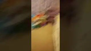 What the #funny #memes