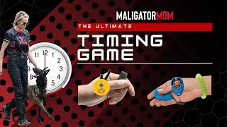 Dog Clicker Timing Game