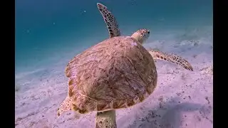 Just Beyond The Surf