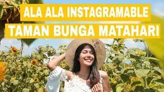 TAMAN BUNGA MATAHARI HITS DI YOGYAKARTA