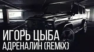 Игорь Цыба - Гелен
