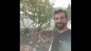 הקמת גינה קסומה בהוד השרון | אורי תורג'מן