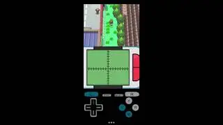 Pokemon Platinum (and other sinnoh games)- how to find the hidden entrance to Wayward cave.
