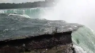 Niagara falls: Where they get All of their money